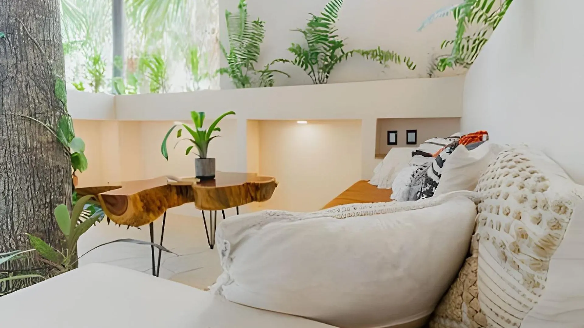 Nomadas Bacalar- Departamentos -