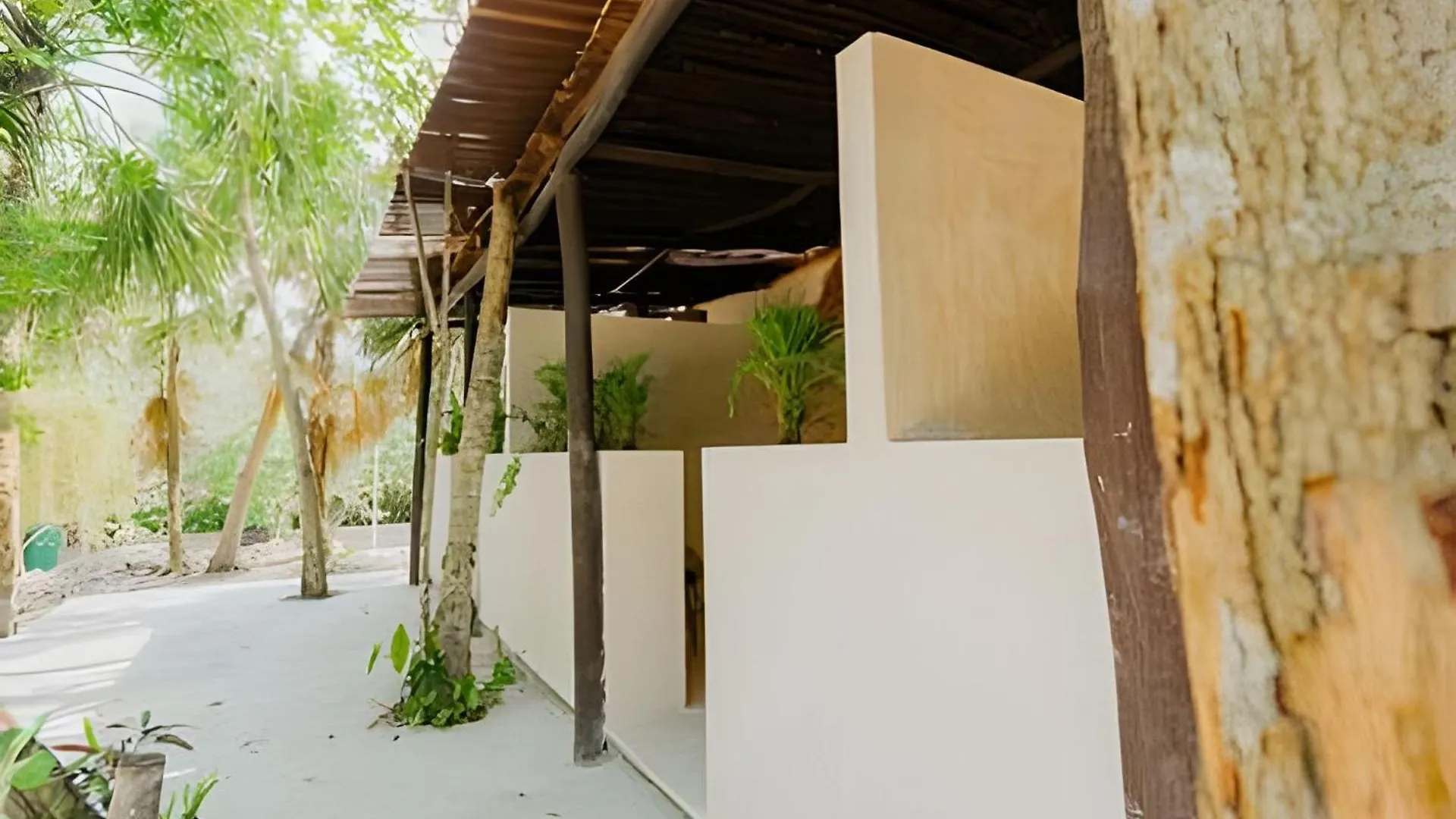Nomadas Bacalar- Departamentos - Mexico